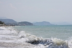 IMG_2014.JPG