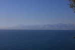 IMG_2208.JPG