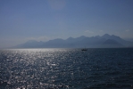 IMG_2259.JPG