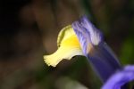IMG_1691.jpg